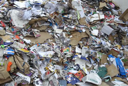Recycling in Chelmsford